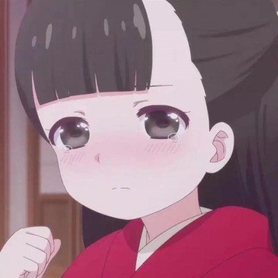 高会直播